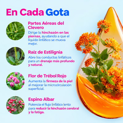 Gotas de drenaje linfático Lymphoria®